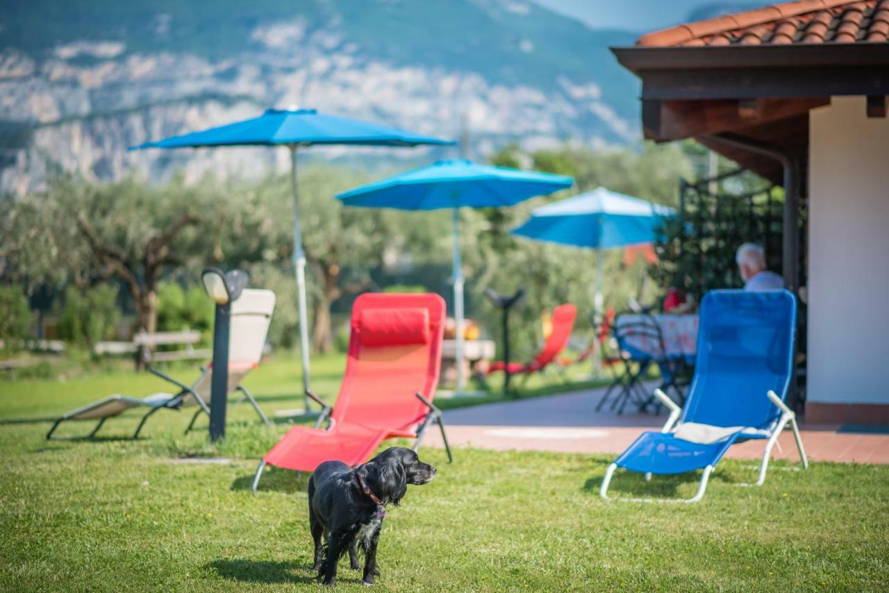 Agriturismo Trefrutti 아르코 외부 사진