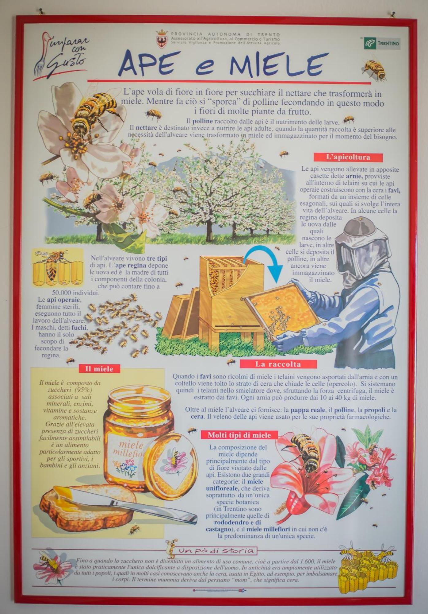 Agriturismo Trefrutti 아르코 외부 사진