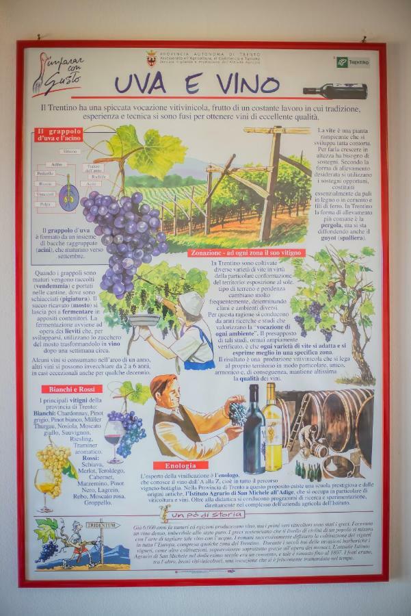 Agriturismo Trefrutti 아르코 외부 사진